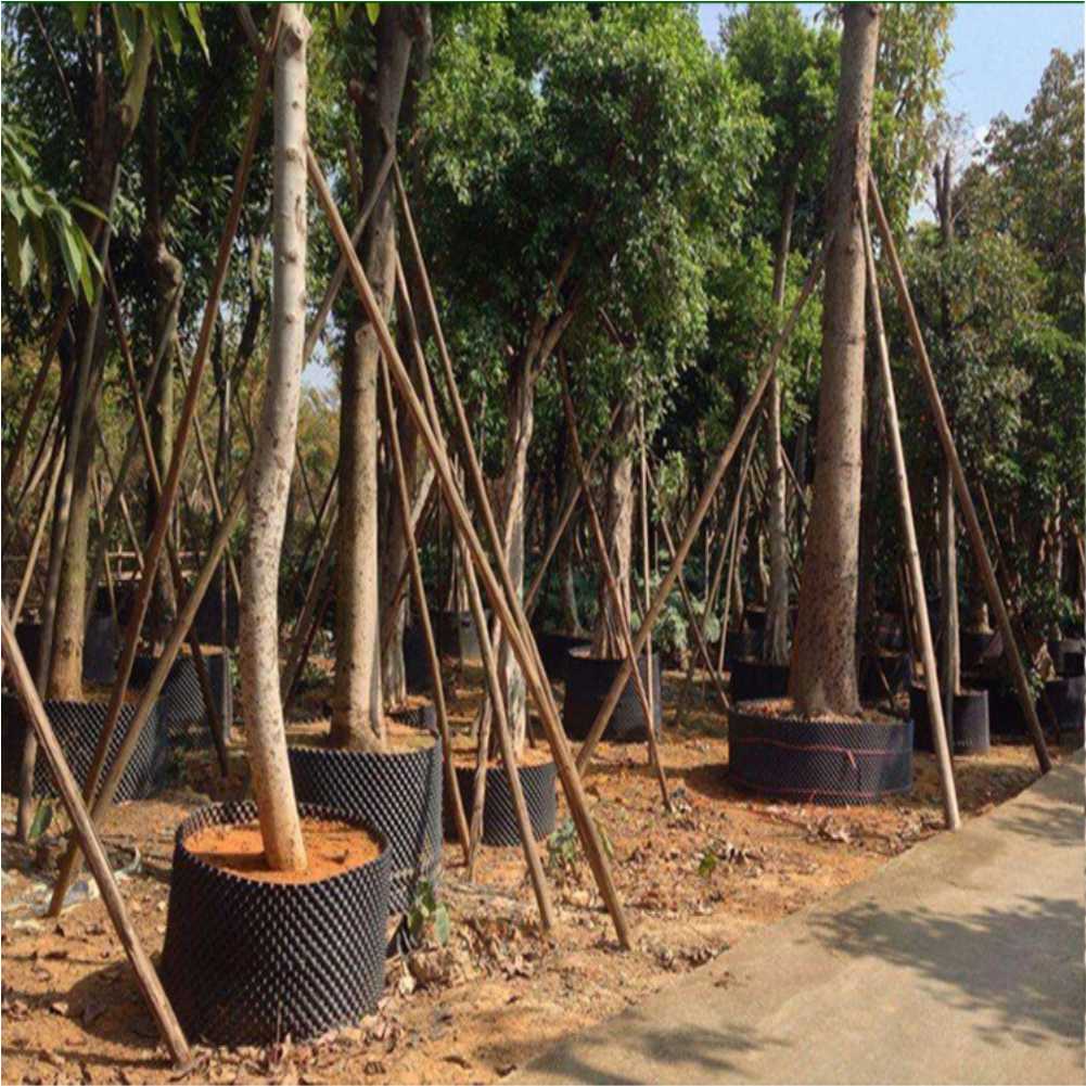 กระถางปลูกต้นไม้แบบเร่งการเจริ - Garden Tools บทวิจารณ์และราคา